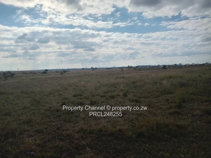5,000 sqm Level Plot in 8km west of Gweru CBD — Open Grass, Adjacent Walled Property