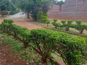 2 Bedroom Townhouse Complex