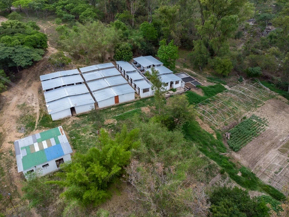 Farm & Agricultural Land