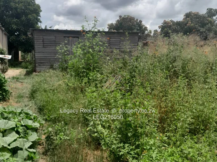 Nyabira Stand for Sale