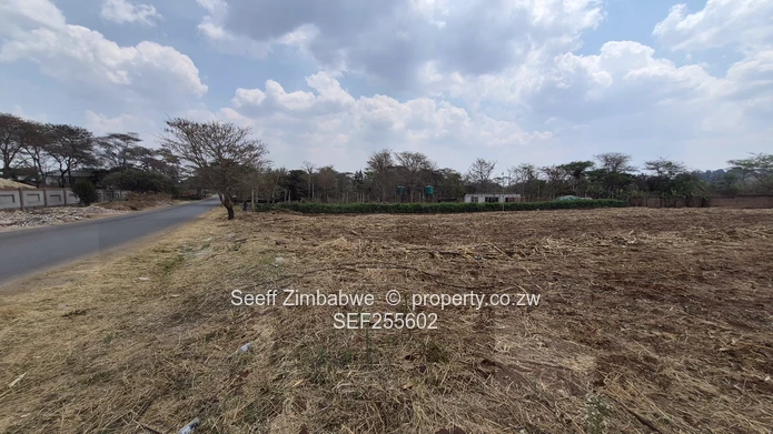 Flat Cleared 2000m² Stand on Tarred Main Road
