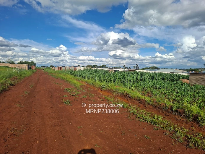 Crowhill Sawara Hills stand with slab for sale (Sole Mandate)