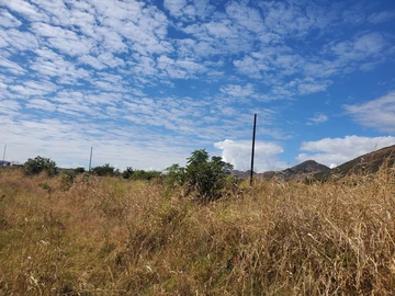 Commercial & Industrial Land