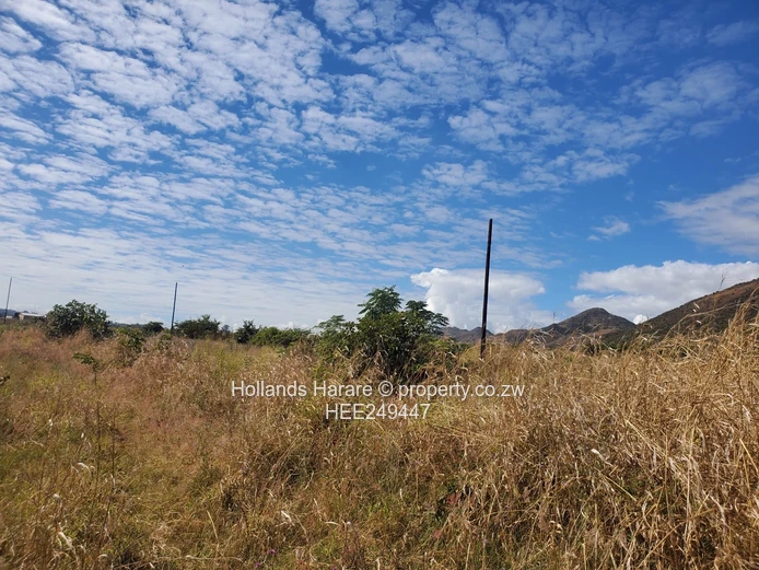 Natvest Mutare