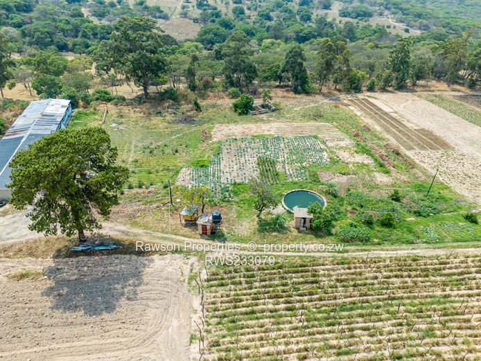 Retirement and Agribusiness Dream!