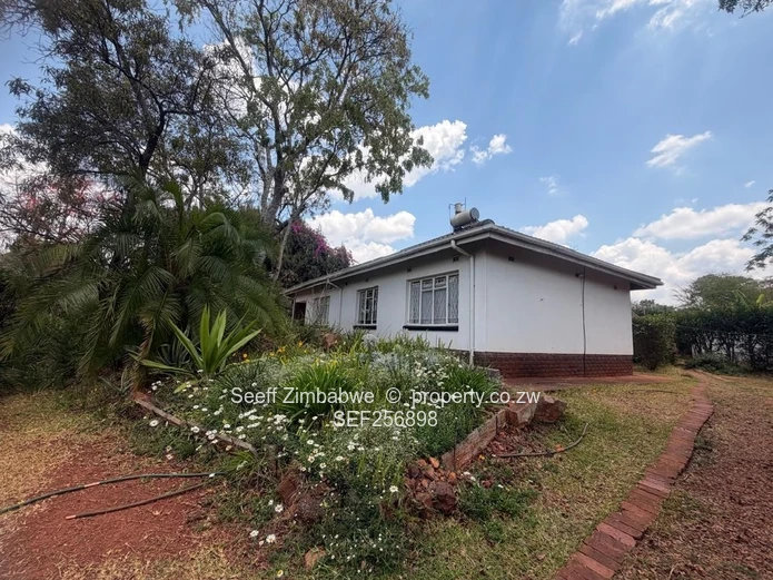 Modern 2-Bed Home with Solar Power & Outdoor Barbecue Area