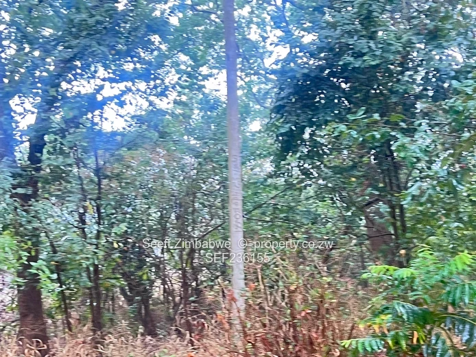 Land For Sale In Mandara