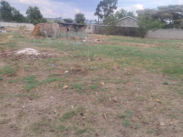 Stands & Residential Land
