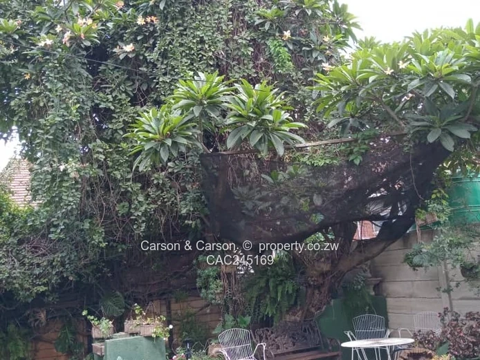 Fully furnished duplex apartment in Avondale 