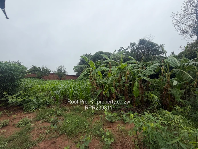 Borrowdale Quinnington House For Sale