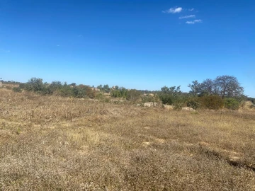 Farm & Agricultural Land