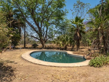 Farm & Agricultural Land