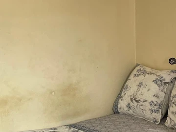 2 Bedroom Flat & Apartment