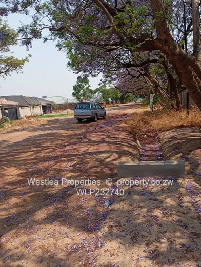 An opportunity not to miss