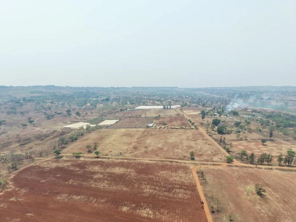 Farm & Agricultural Land