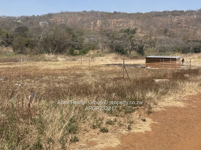 Greystone Park Stand for Sale