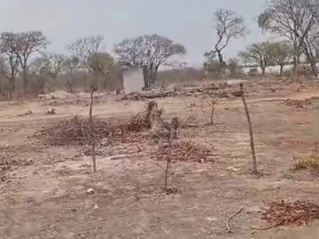 Farm & Agricultural Land