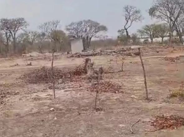 Farm & Agricultural Land