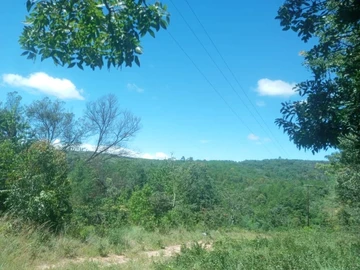 Farm & Agricultural Land