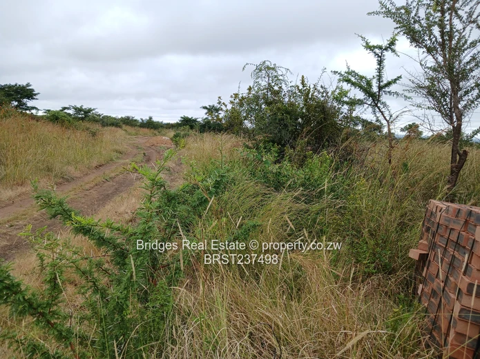 Fast establishing suburb in Gweru North! (Sole Mandate)