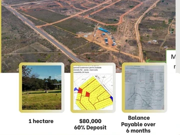 Farm & Agricultural Land