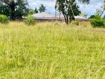 Stands & Residential Land