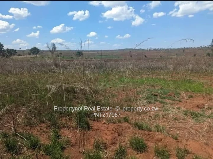 Land for sale in Borrowdale!!!
