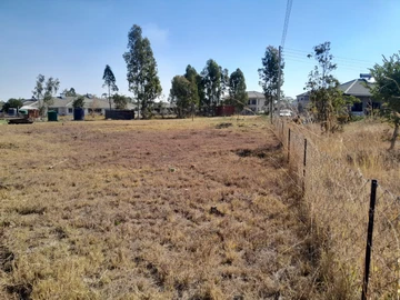 Stands & Residential Land