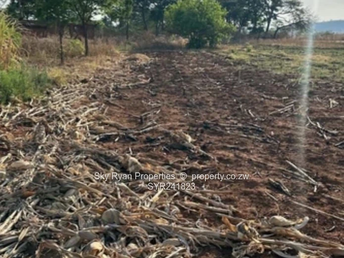 Chinhoyi Orange Groove Property For Sale