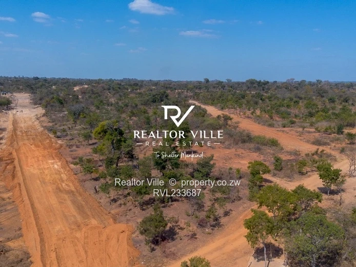 Lake City Stands For Sale  (Sole Mandate)