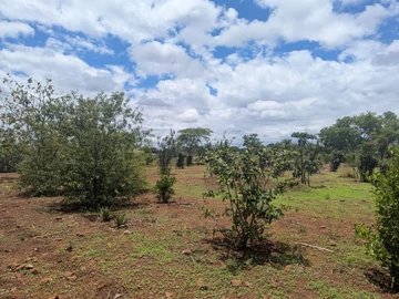 Commercial & Industrial Land