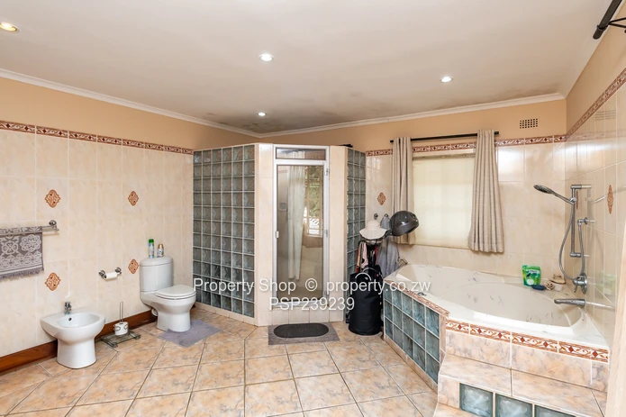 The Ultimate All-in-One Experience