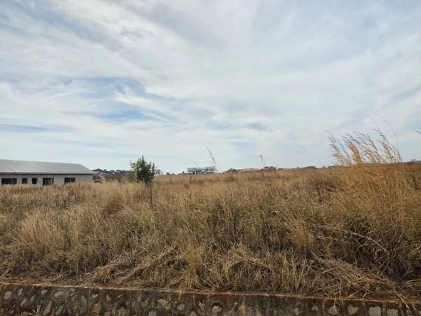 Stands & Residential Land