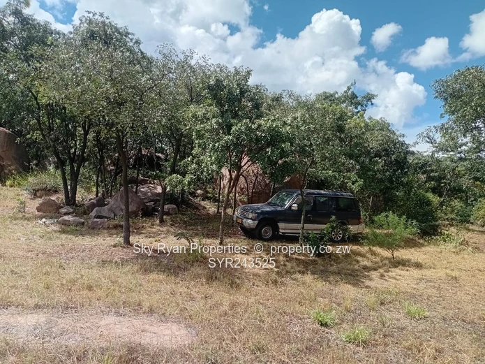 Msasa Industrial Stand For Sale