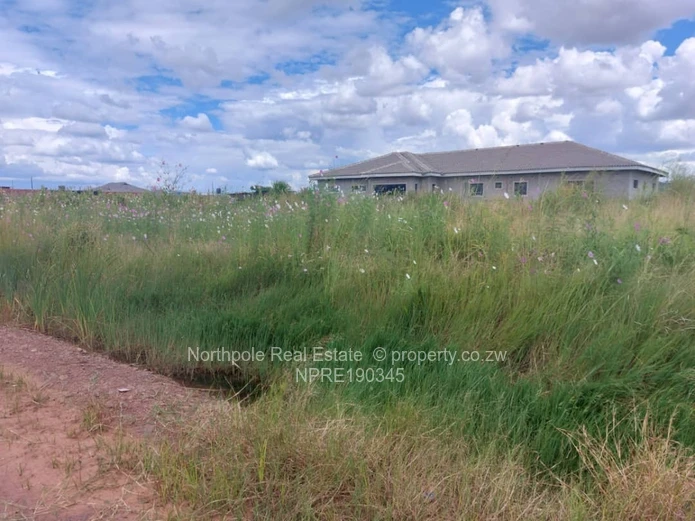 Stands & Residential Land for Sale in Haydon Park NPRE190345