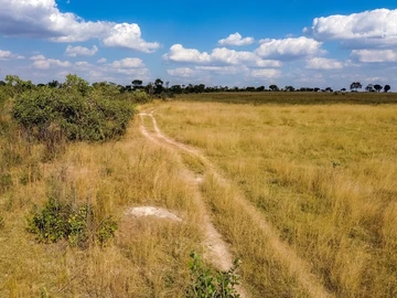 Farm & Agricultural Land