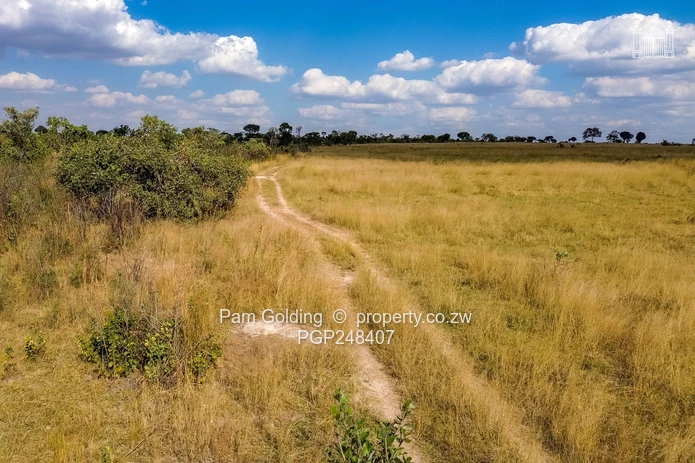 Farm For Sale – Darwendale