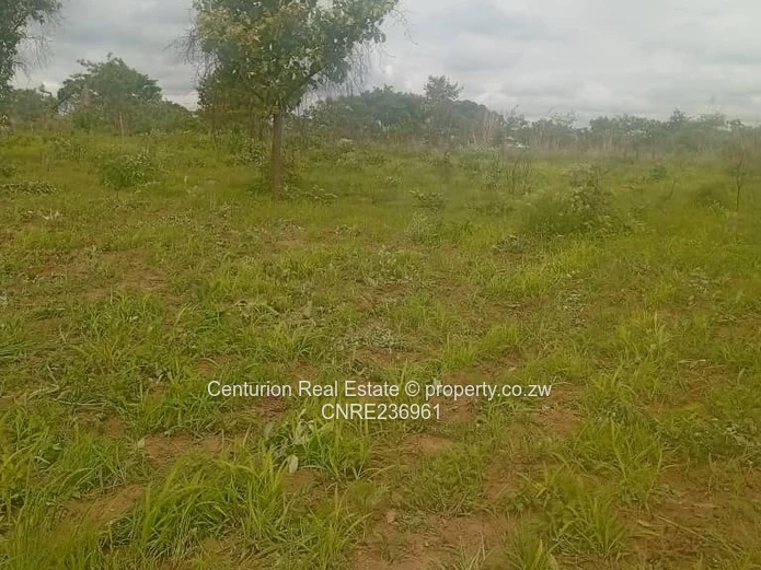 Pomona Wild Geese stand for sale