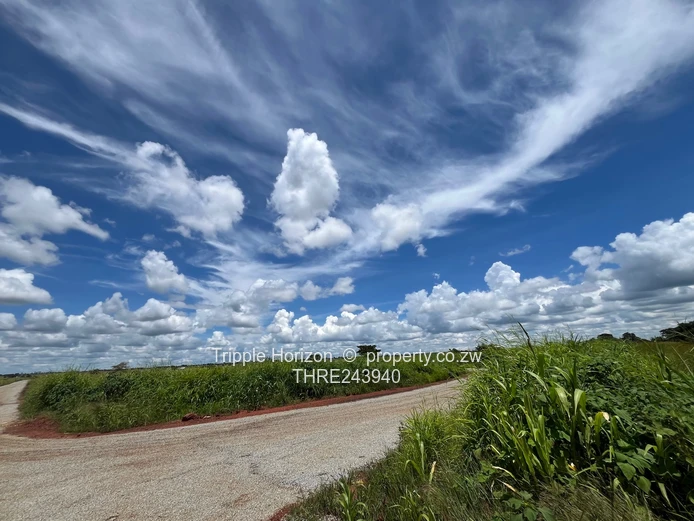 Mary Park Norton stands 