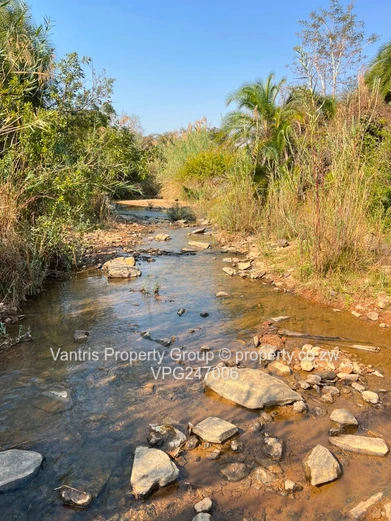 18Ha and 55Ha Mhangura River Ranch plots for sale !! (Sole Mandate)