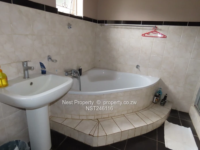 Prime Road Frontage Opportunity in Alexandra Park