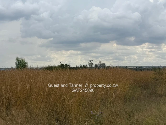 Huntersville Stand for Sale – Prime Location (Sole Mandate)