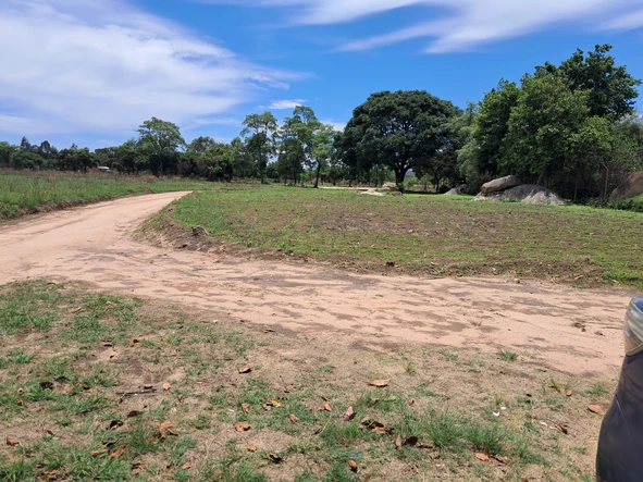 Farm & Agricultural Land