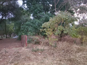 Commercial & Industrial Land