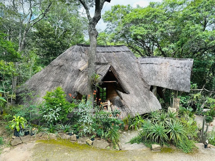 Prime 4,000m² Stand on Yellow Wood Lane, Kambanji  with Valley Views & Indigenous Trees (Sole Mandate)