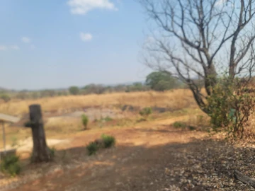 Farm & Agricultural Land