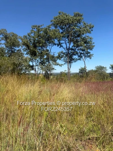 41 Hectares of Prime Land in Borrowdale Brooke Area with Endless Development Potential