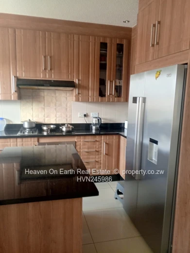 Elegant Home in Springvale with Modernist design 