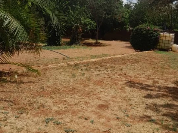 Prime 2000 m² Stand in Greendale North with clean paperwork, Utilities & Road Access