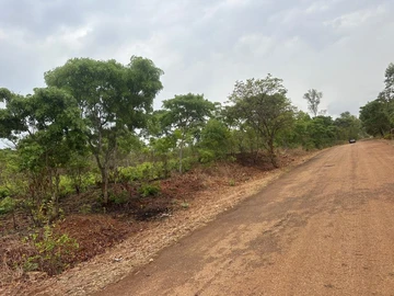 Farm & Agricultural Land